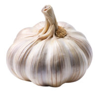 A Single Bulb of Garlic Isolated on Black Background Showing Detailed Texture and Shape png