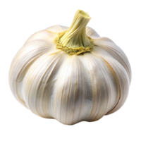 A Single Bulb of Garlic Isolated on a Black Background A Detailed Closeup of a Fresh Garlic Bulb Showing its Creamy White Color and Intricate Texture png