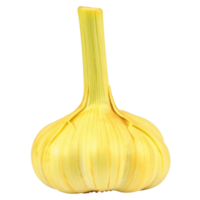 Single bulb of ripe yellow garlic with long stem isolated on black background png
