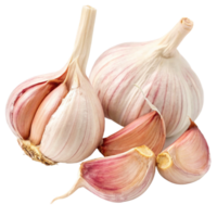 Closeup of Two Bulbs of Fresh Garlic with Separated Cloves Isolated on Black Background png
