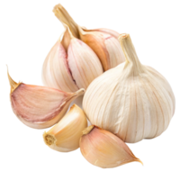 Closeup of Fresh Garlic Bulbs and Cloves Isolated on Black Background png