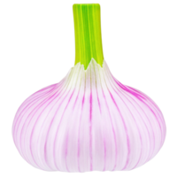 Single Red Onion Bulb Isolated on Black Background High Resolution Image png