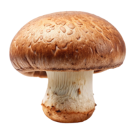 A Single Brown Mushroom with Water Droplets on its Cap Isolated on Black Background png