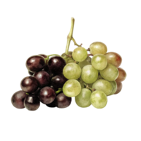 A Bunch of Red and Green Grapes on a Black Background A Close Up Image of Fresh Fruit png