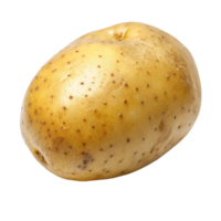 A Single Raw Potato Isolated on Black Background, Showing Texture and Color Variations png