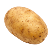 A Single Russet Potato Isolated on Black Background High Resolution Image png