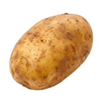 A Single Russet Potato with Soil Still Attached After Harvesting png