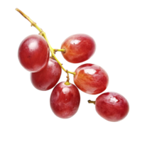 A bunch of red grapes isolated on a black background showing their vibrant color and juicy texture png