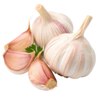 Closeup of fresh garlic bulbs and cloves with parsley garnish isolated on black background png