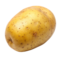 A Single Raw Yellow Potato Isolated on Black Background A Detailed Close Up View of a Potato Showing its Texture and Color png