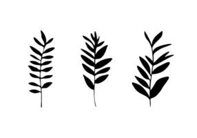 Set of black plants and branches on white background. Design for printing and postcards. Beautiful minimalistic ornament for brushes and stamps. vector