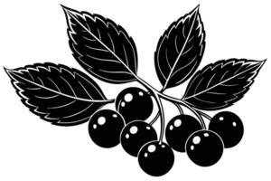 A black and White Illustration of a Branch of Berries with Leaves vector