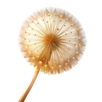 elegant minimalist A single dandelion seedhead, delicate and intricate, backlit by a soft golden light, ethereal style detailed png
