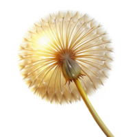 beautiful classic A single dandelion seedhead, delicate and intricate, backlit by a soft golden light, ethereal style authentic png