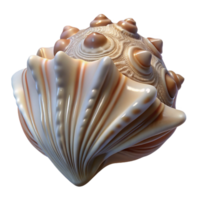 extraordinary abstract A close-up of a seashell, intricate textures and patterns, studio lighting, photographic style 4K png