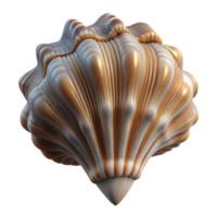 elegant creative A close-up of a seashell, intricate textures and patterns, studio lighting, photographic style genuine png