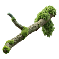 impressive vintage A branch covered in moss, intricate textures, soft lighting, macro photography style original png