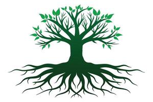 A Illustrative image of a strong, rooted tree. vector