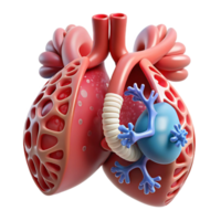stunning creative A 3D printed human organ with intricate bio-engineered structures, soft diffused lighting, bioprinting style premium png
