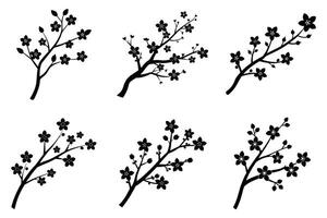 Elegant Black and White Cherry Blossom Branches vector