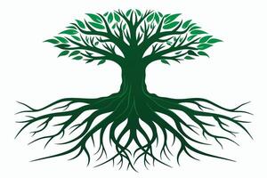 Illustrative image of a strong, rooted tree. vector