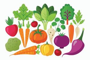 A colorful Collection of Fresh Vegetables vector