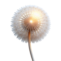 elegant rustic A Single Dandelion Seedhead Backlit by a professional png
