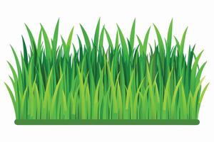 Lush Green Grass Border, Ideal for Design Projects vector