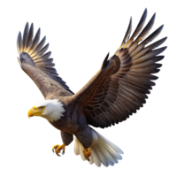 extraordinary contemporary A Majestic Bald Eagle Soaring Through a high quality png