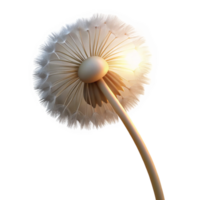 elegant minimalist A single dandelion seedhead caught in a gentle breeze, backlit by the setting sun, ethereal and dreamlike premium png