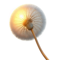 serene rustic A single dandelion seedhead caught in a gentle breeze, backlit by the setting sun, ethereal and dreamlike high resolution png