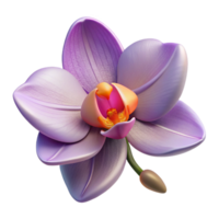 dramatic modern A Close Up of a Blooming Orchid Exotic original png