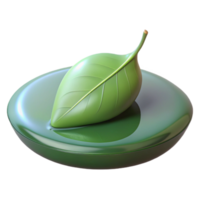 wonderful traditional A Single Leaf Floating on the Surface of detailed png