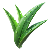 extraordinary creative A Close Up of a Dew Covered Blade of premium png
