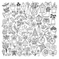 Spring Blossoms in Sketches vector