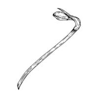 Ink illustration of a young daffodil bud on a long curved stem, drawn in a vintage engraving style. Perfect for botanical themes, floral compositions, and nature-inspired designs. Suitable for vector
