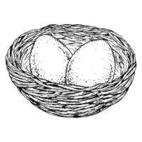Intricate black-and-white drawing of a birds nest with eggs, symbolizing Easter, new beginnings and fertility. Great for greeting cards, packaging, decor, seasonal invitations, rustic-themed designs vector