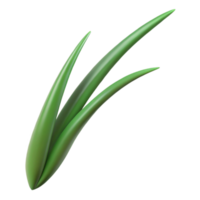 serene minimalist A single blade of grass, close-up, minimalist style 4K png
