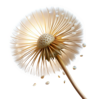 stunning abstract A single dandelion seedhead in the process of dispersing its seeds, backlit by a golden light, macro photography style authentic png