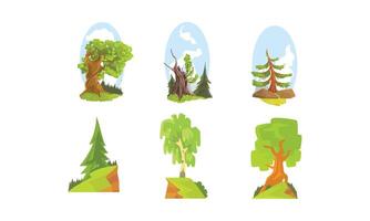 Deciduous and Coniferous Trees, Beautiful Summer Landscape Elements Illustration vector