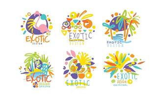 Exotic Original Design Labels Collection, Colorful Tropical Hand Drawn Badges with Birds and Plants Illustration vector