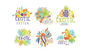 Exotic Original Design Labels Collection, Colorful Hand Drawn Badges Illustration vector