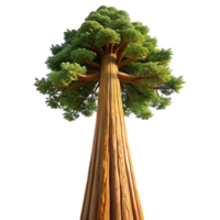 vibrant creative vibrant vintage A Giant Sequoia Tree Reaching Towards the detailed professional png
