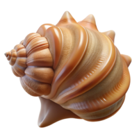 extraordinary contemporary A close-up of a seashell, intricate details, textured surface, studio lighting high resolution png