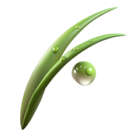 dramatic abstract elegant vintage A Single Blade of Grass with Dew Drops original 4K png