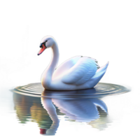 wonderful artistic A graceful swan gliding across a still lake, reflecting the surrounding trees. Impressionistic style, with soft focus and pastel colors professional png