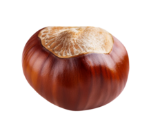 chestnut isolated object png