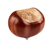 chestnut object on transparent background png