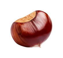 Fresh chestnut on transparent background png