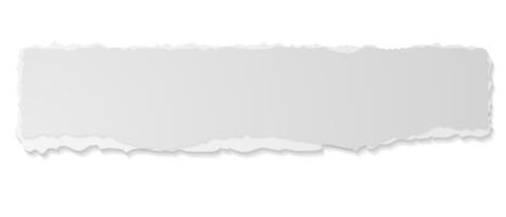Grey ripped paper edge banner vector